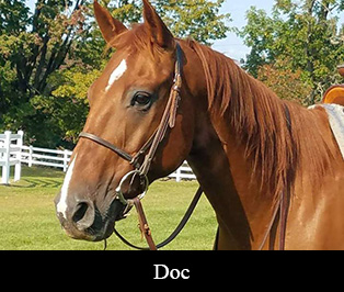 Doc