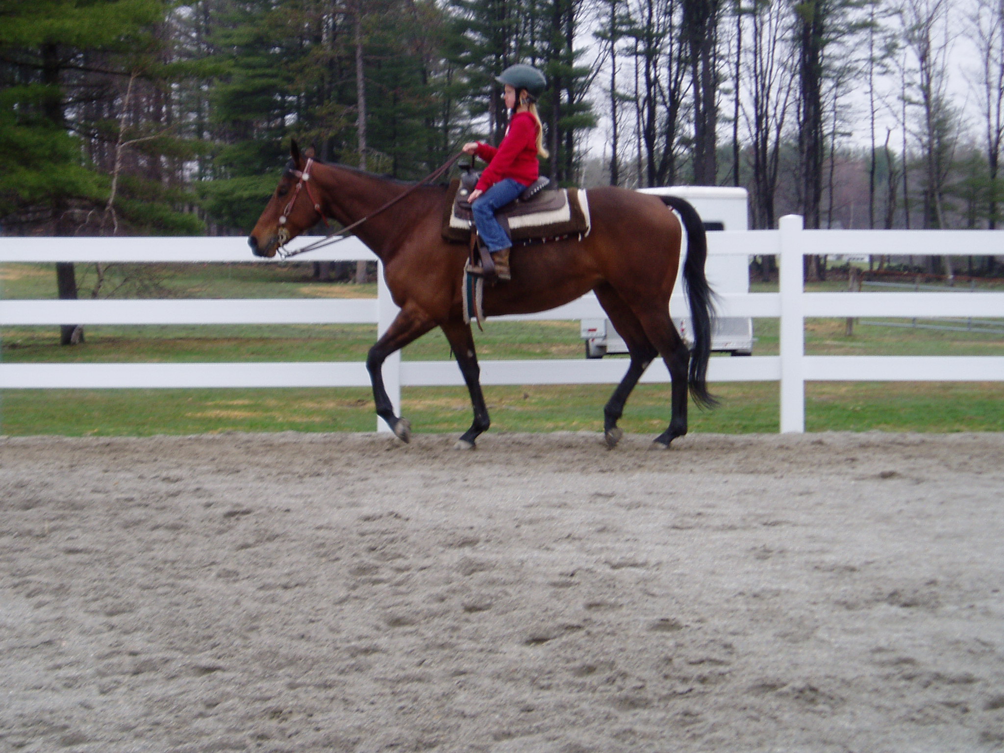 Belle Isle Brandy Townsend's Training Farm Inc. 536 4th Range Rd