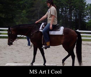 MS Art I Cool
